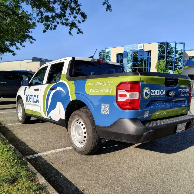 We are pleased to have worked with Zoetica Environmental for a partial wrap on their new Ford Maverick truck. Thank you to Heather and her team for being amazing customers. We appreciate you 🙏

*****************************************************

#wrap #truckwrap #advertisement #3m #logo #quality #fleet #wrapinstaller #vehiclewrap #vehiclewraps #vehicleadvertising #vehiclegraphics #print #graphic #graphics #design #commercialwraps  #wrapshop